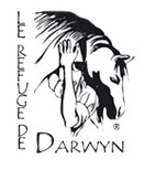logodarwin